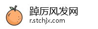 踔厉风发网